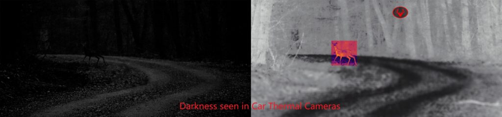 Thermal imaging