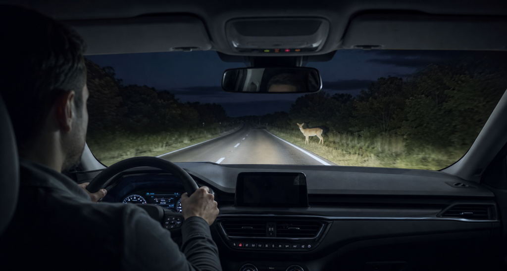 Driver viewing an automotive thermal night vision display on a dark road