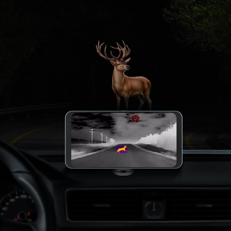 car thermal night vision