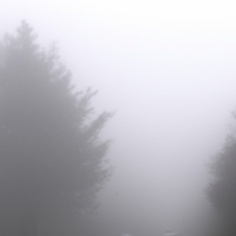 Do Thermal Cameras Work in Fog