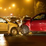 Animal Collisions