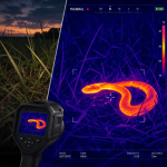 Thermal imaging camera detecting a snake in grass at dusk