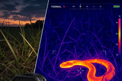 Thermal imaging camera detecting a snake in grass at dusk