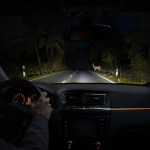Driver’s view of a car at night approaching a deer on a forest road, showing a car thermal night vision system scene
