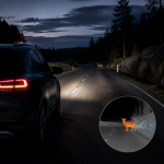 Car driving on a forest road at night with thermal imaging highlighting a deer ahead.