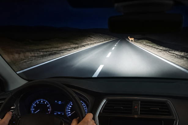 Driver checking an automotive thermal night vision display before buying a system