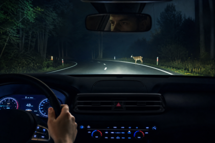 Automotive-grade thermal night vision display highlighting a pedestrian on a dark road