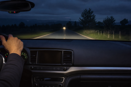 Automotive infrared thermal module displaying heat signatures for vehicle night vision