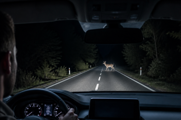 Car thermal night vision display detecting pedestrians on a dark road in 2026
